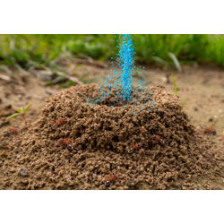 Ameisenpulver 250 g  No Pest Ant Done – Mittel gegen Ameisen im Haus und Garten, Granulat.